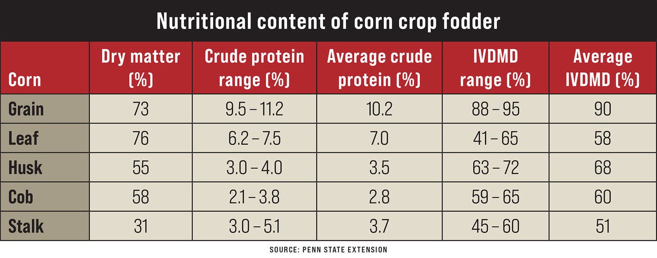 Nutritional content of corn crop fodder