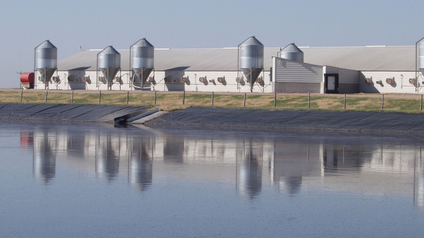 landscape view of hog operation