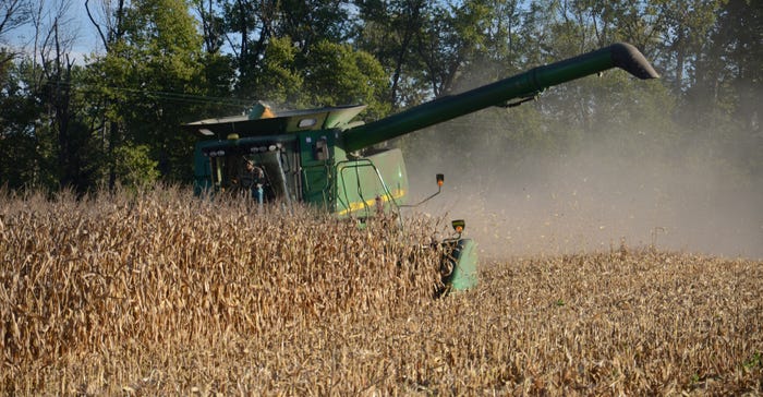 combine harvesting corn