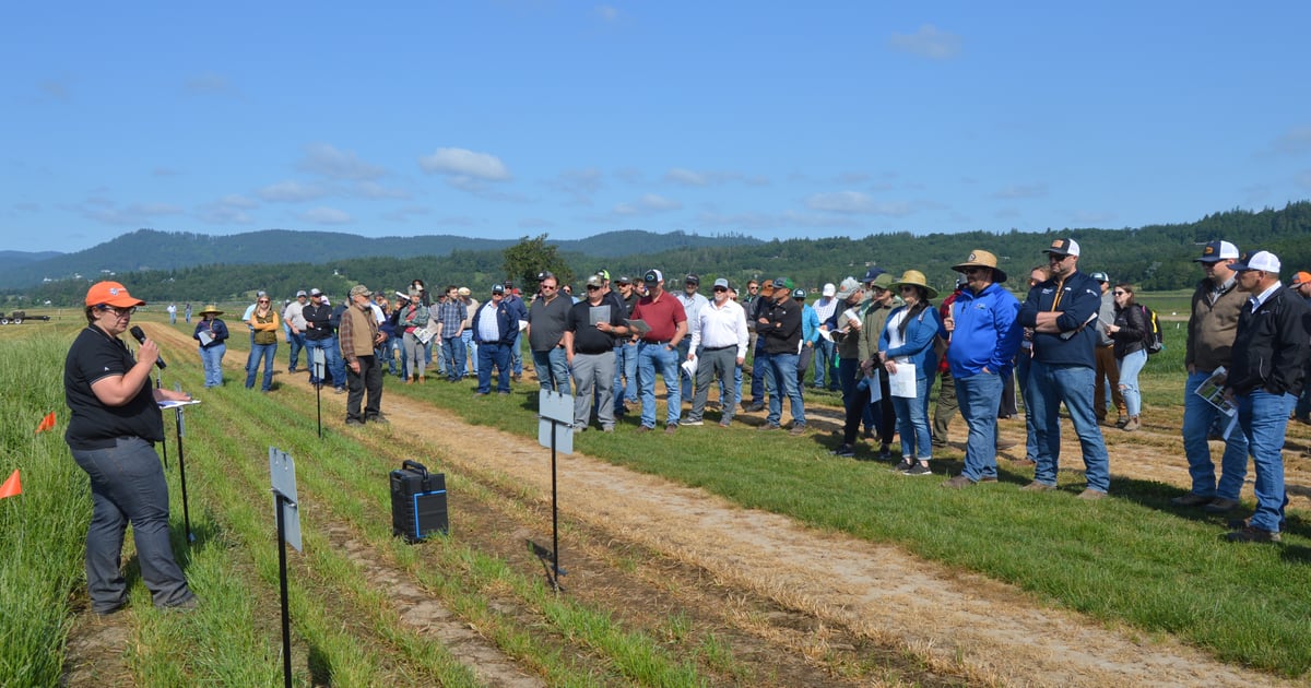 Oregon field day draws record numbers