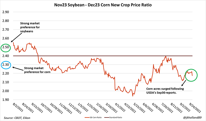 Corn new crop price ratio