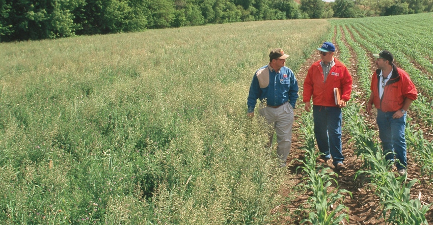 Men talking in field