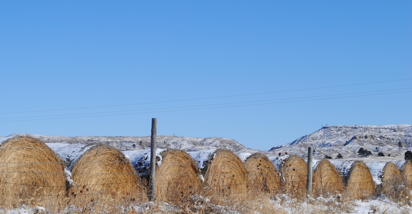 Bales of hay in field with dusting of snow on them