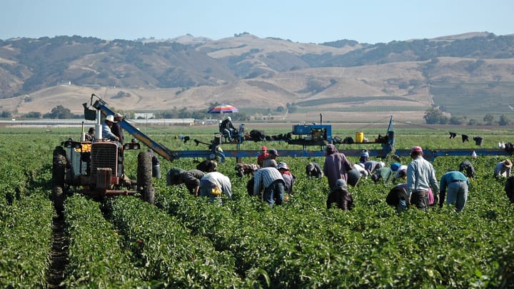 California farm wage law sparks industry backlash