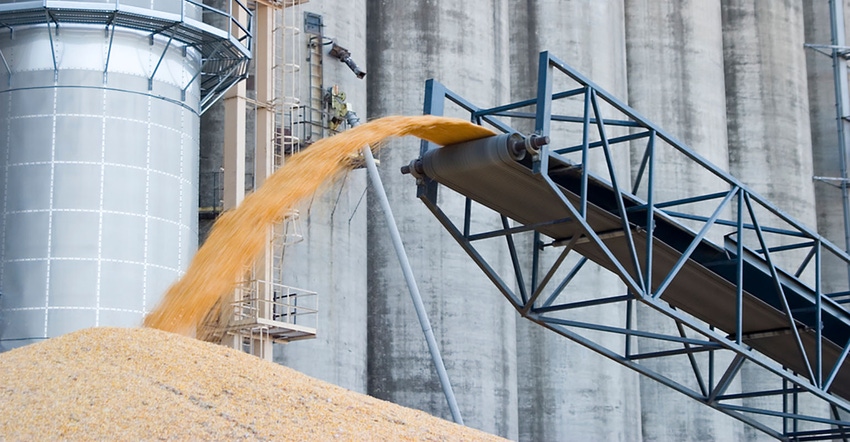 corn pouring off auger