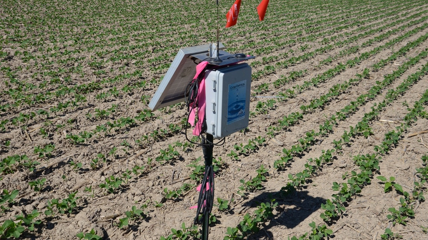  A soil moisture sensor in a soybean field