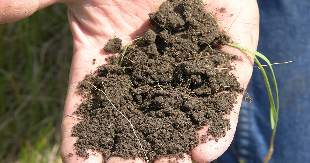 Read this proof you can change your dirt to soil