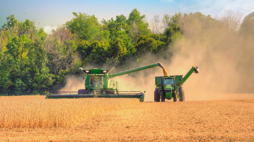 Combine harvesting soybeans with grain cart