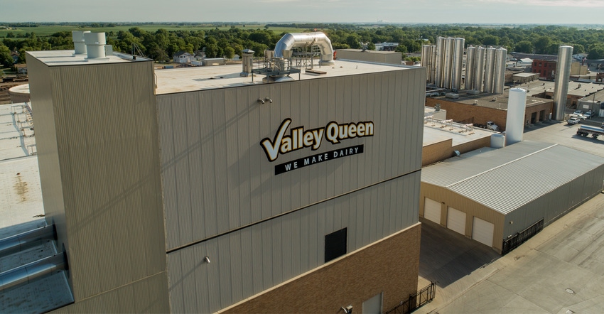 Valley Queen cheese plant
