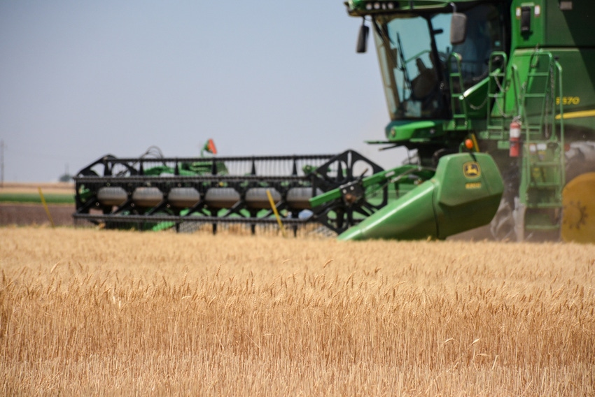 SWFP-HUGULEY-19-WHEAT.jpg SWFP-HUGULEY-19-WHEAT.jpg