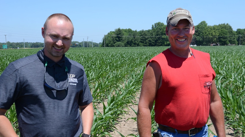 Dan Quinn and Pete Illingworth standing in a young cornfield