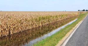 Flood water fills ditches along rural road and ready-to-harvest corn field