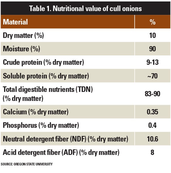  nutritional value of cull onions