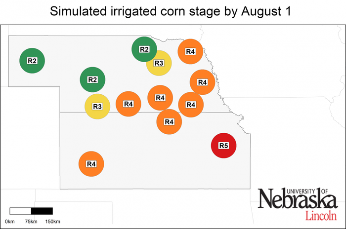 8.06_201_20corn-growth-stage-irrigated-7-31-18-F2a.png
