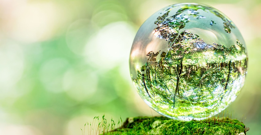 Moss in glass globe. Sustainability, environment concept