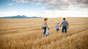 Family walking in wheat field