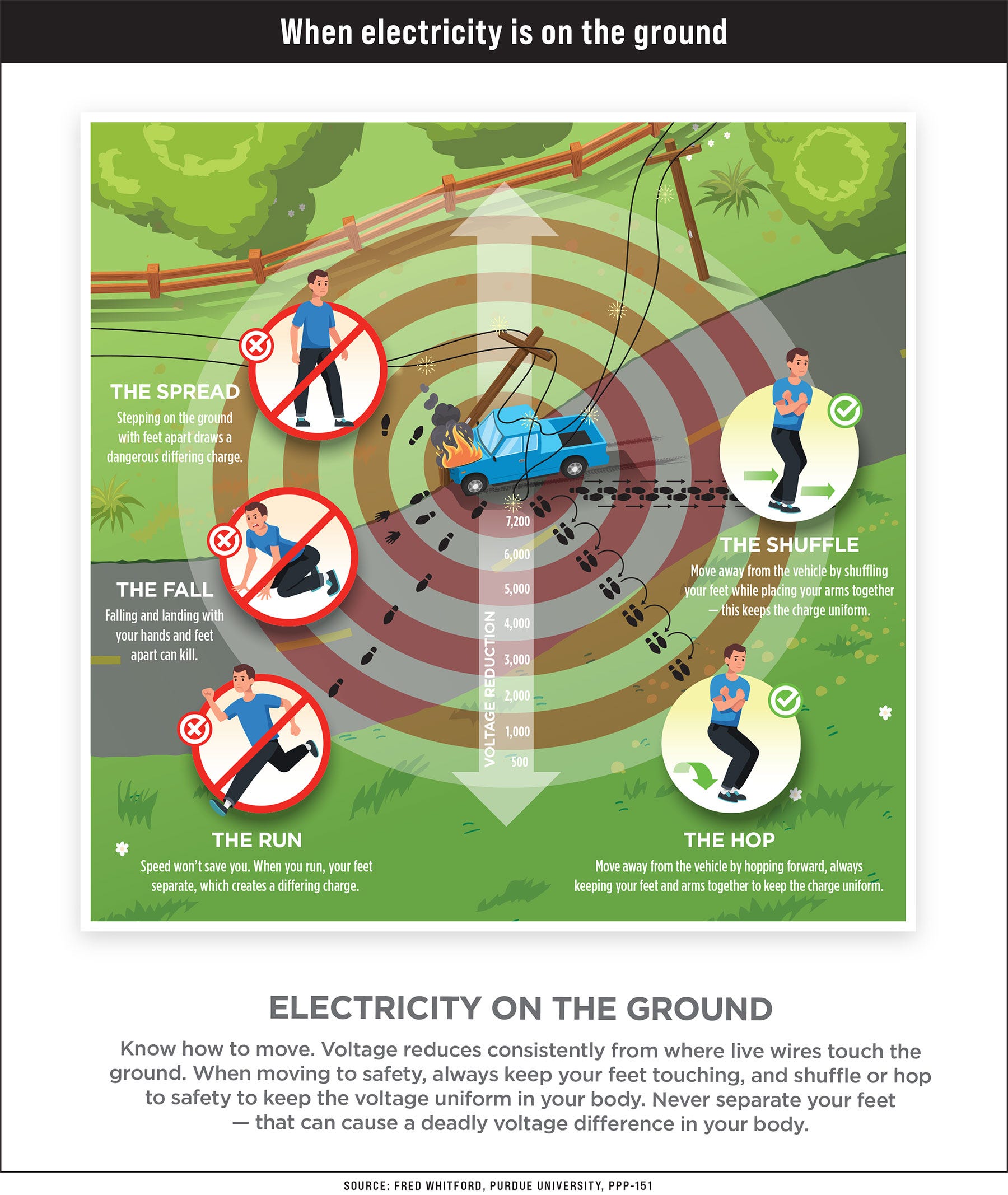 graphic explaining how to exit a vehicle that is touching power lines