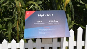 A sign in front of a corn plants detailing hybrid features
