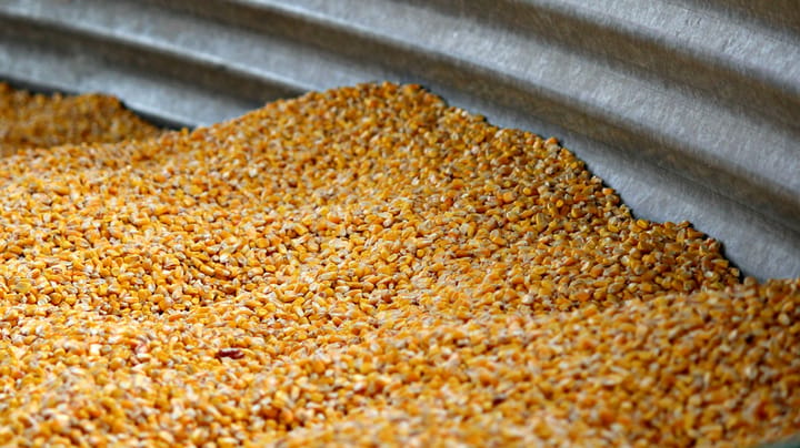 From global stocks to on-farm storage: What’s your breakeven?