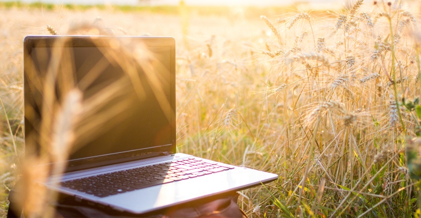 Laptop and wheat field Laptop and wheat field