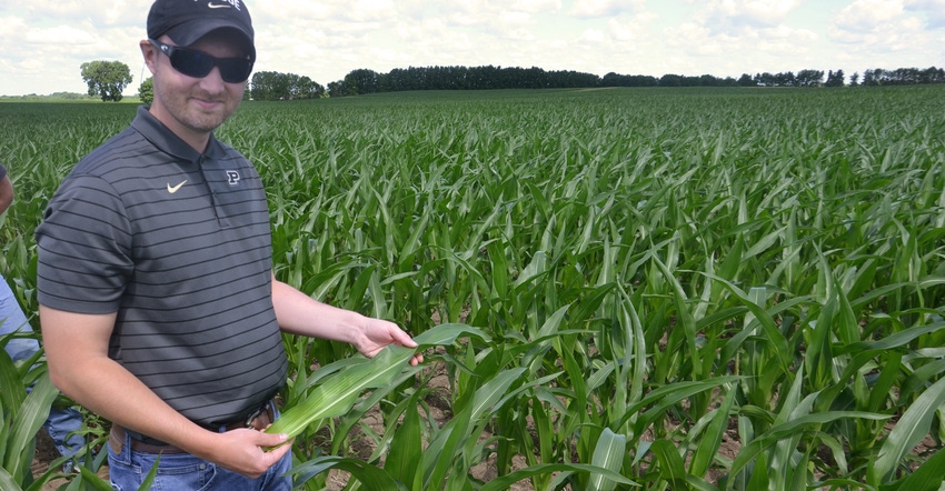 Dan Quinn standing in cornfield