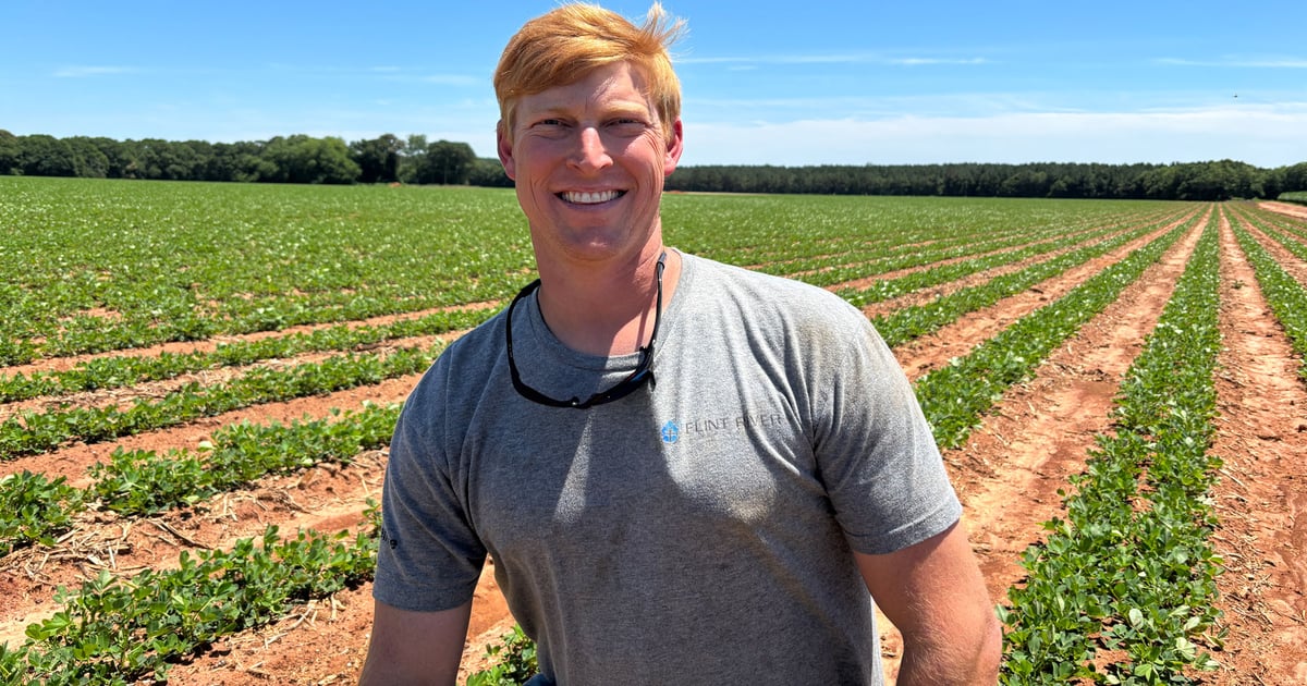 Georgia farmer wins 2025 Peanut Efficiency Award