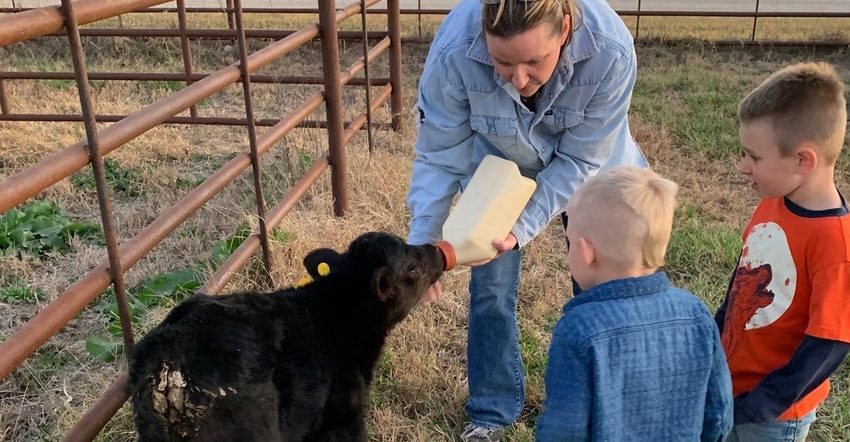 Woman bottle feeding a calf while two young boys watch