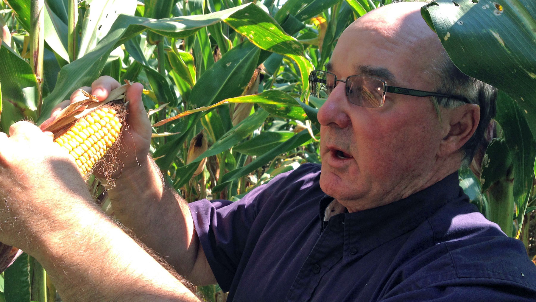 Jim Zook, Michigan Corn Growers Association