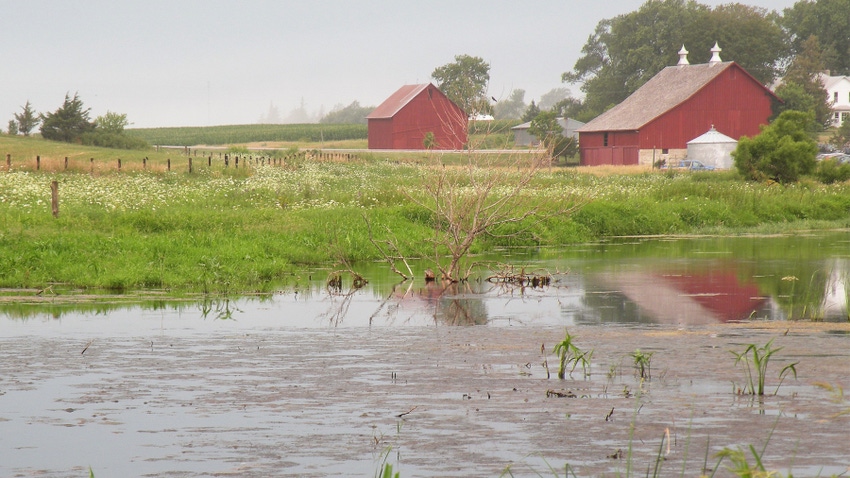 Wetland pond near barns