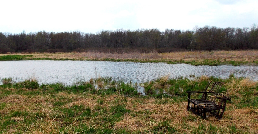wetland in Iowa