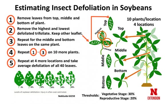 Figure showing process for sampling soybean leaves to assess defoliation