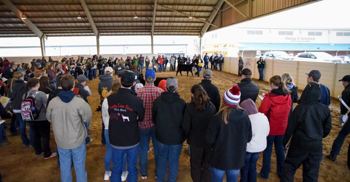 Cattle sale at Ohio Beef Expo