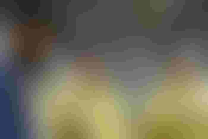 0429H1-3243b-1540x1027.jpg 0429H1-3243b-1540x1027.jpg