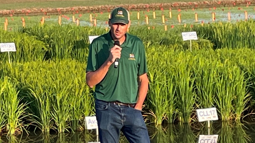LSU breeder in rice field
