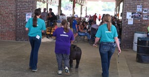  Special Olympics athletes about to show a pig during the Iowa State Fair in 2019