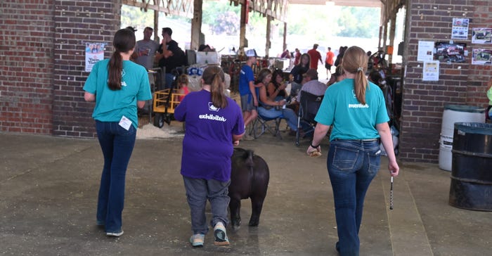 Special Olympics athletes about to show a pig during the Iowa State Fair in 2019 Special Olympics athletes about to show a pig during the Iowa State Fair in 2019