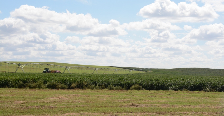 swfp-shelley-huguley-cotton-oklahoma.jpg swfp-shelley-huguley-cotton-oklahoma.jpg