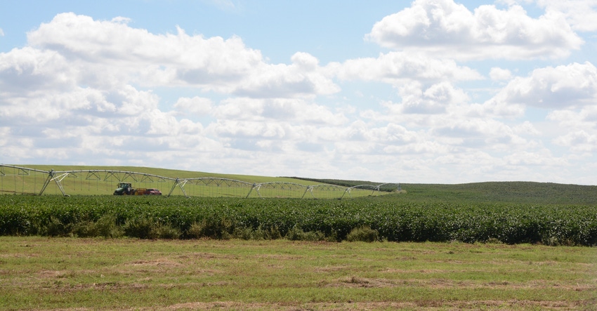 swfp-shelley-huguley-cotton-oklahoma.jpg