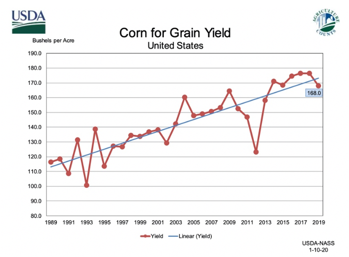 Corn for grain yield graphic