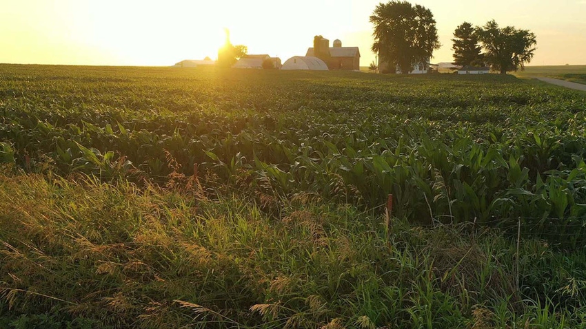Field with farmstead at sunset