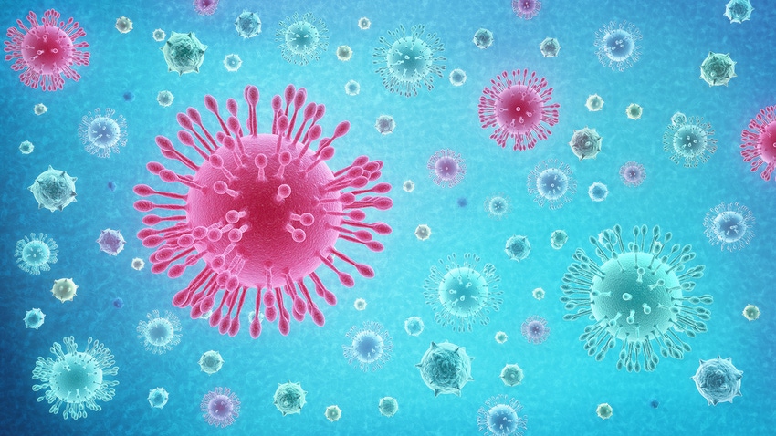 nhf-marcossilva-gettyimages-coronavirus.jpg nhf-marcossilva-gettyimages-coronavirus.jpg