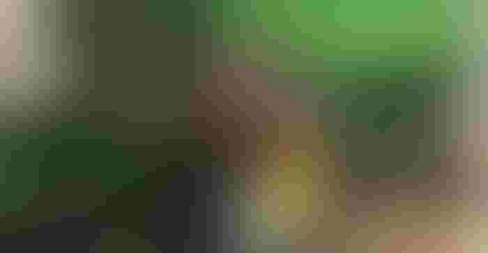 0204M1-3001D-1540x800.jpg 0204M1-3001D-1540x800.jpg