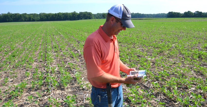 Steve Guack looking at field guide while standing in soybean field