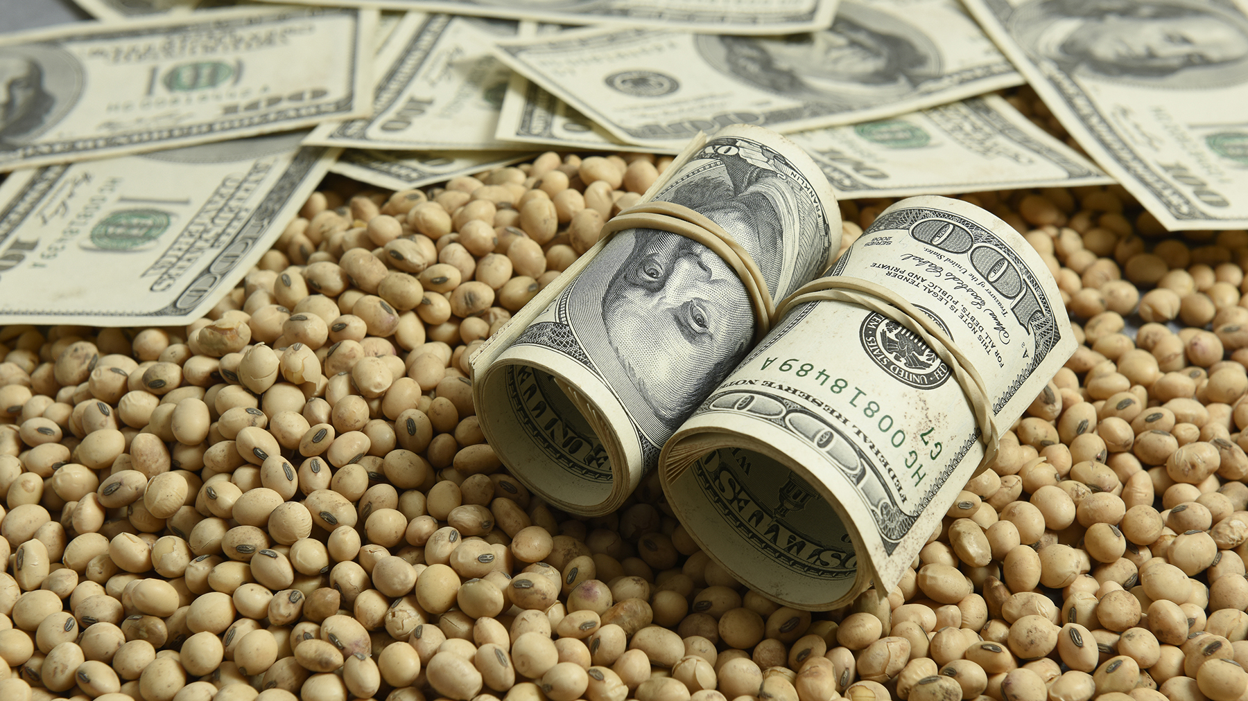 Soybeans vs. corn: Which crop will deliver the best return in 2025?