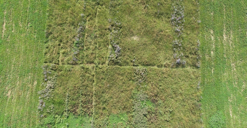 aerial image of pasture weed control project at Purdue’s Scholer Beef Farm