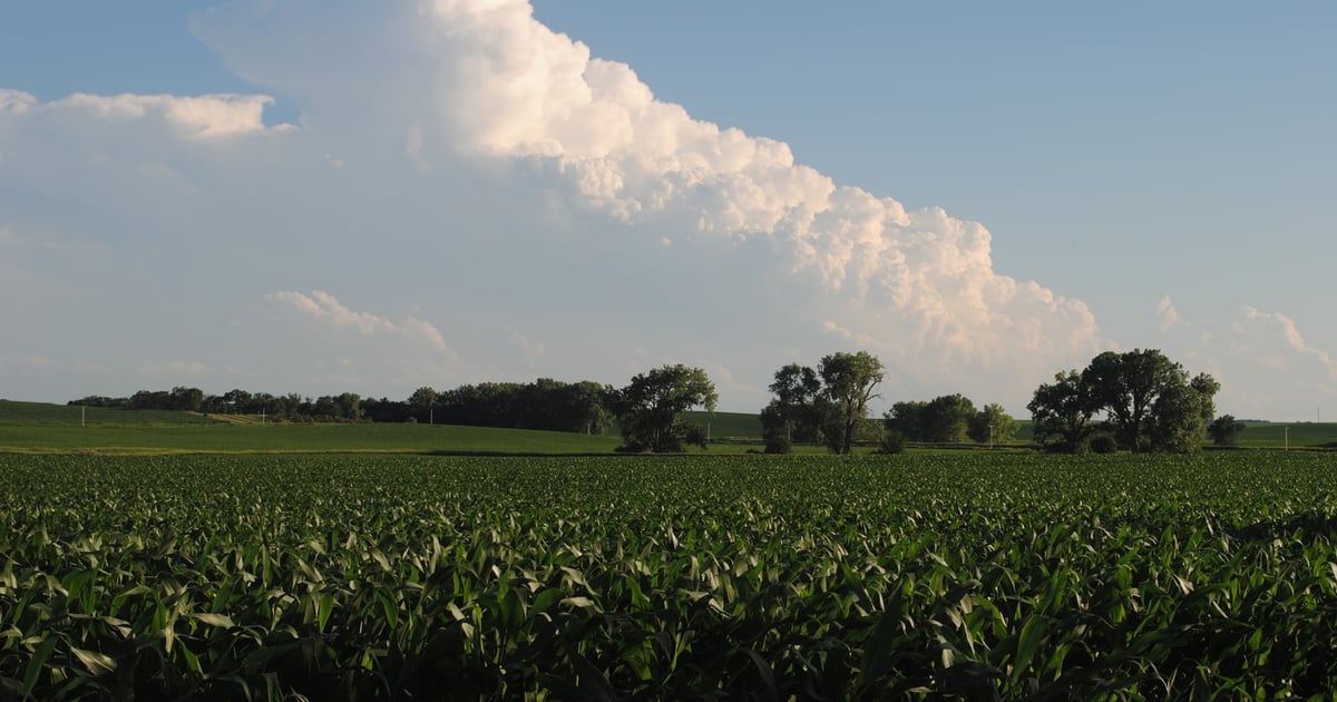 Land in demand, but not much supply on the market