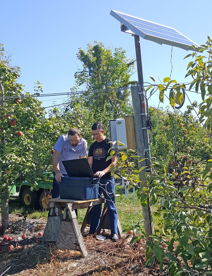 Researcher Srjdan Acimovic reviews orchard data with Christopher Meredith during the fire blight outbreak in 2016