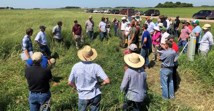 Visitors to A-Frame Farm, Madison, Minn., owned and operated by Carmen and Sally Fernholz, learned about Kernza last summer d Visitors to A-Frame Farm, Madison, Minn., owned and operated by Carmen and Sally Fernholz, learned about Kernza last summer d