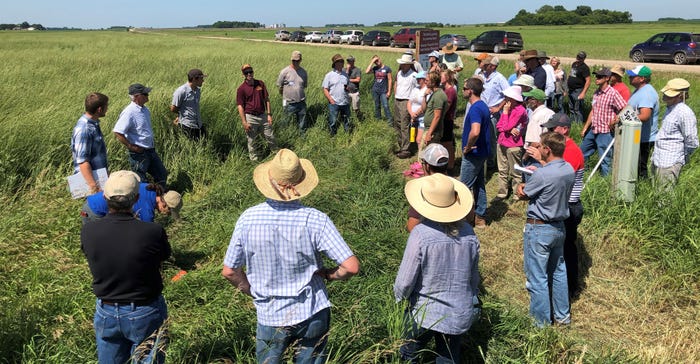 Visitors to A-Frame Farm, Madison, Minn., owned and operated by Carmen and Sally Fernholz, learned about Kernza last summer d