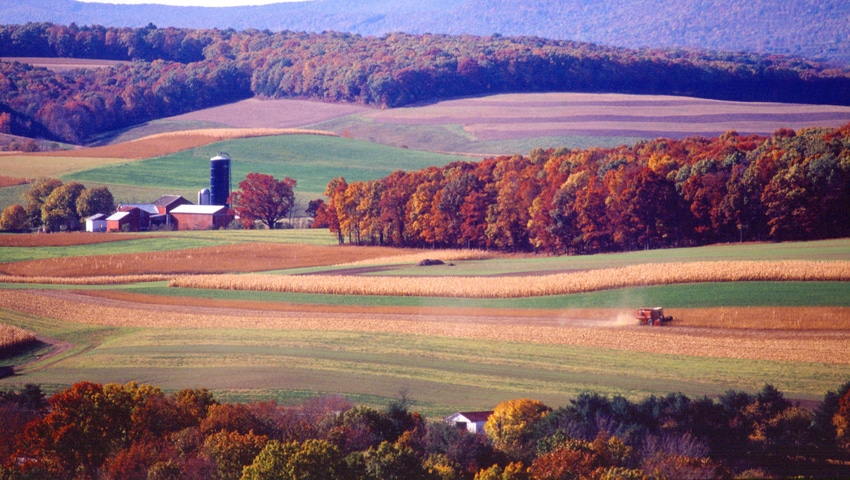 WFP-ARS-generic-farm.jpg WFP-ARS-generic-farm.jpg